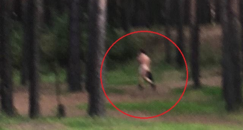 В Ярославле дикие женщины гоняли по кустам голого эксгибициониста