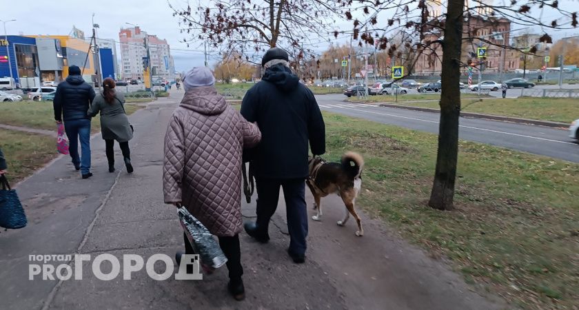  В ноябре некоторых россиян ожидает повышение пенсий