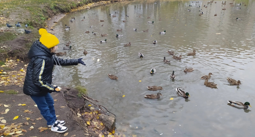  В Ярославль ворвутся осеннее тепло и высокие температуры