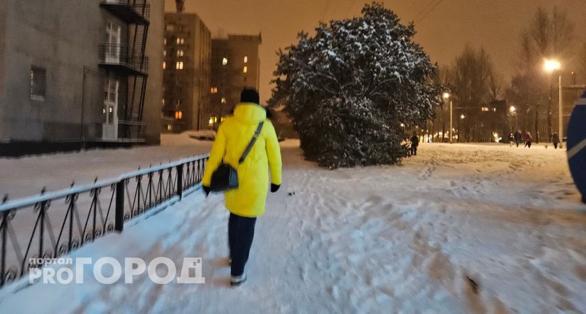 Синоптики предупредили: суровейшая зима ждет россиян