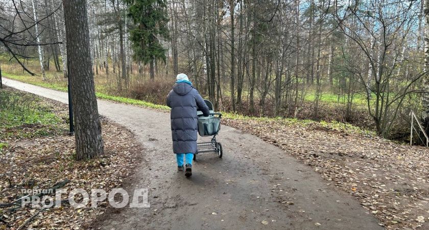  В Ярославле многодетную семью оставили без жилья