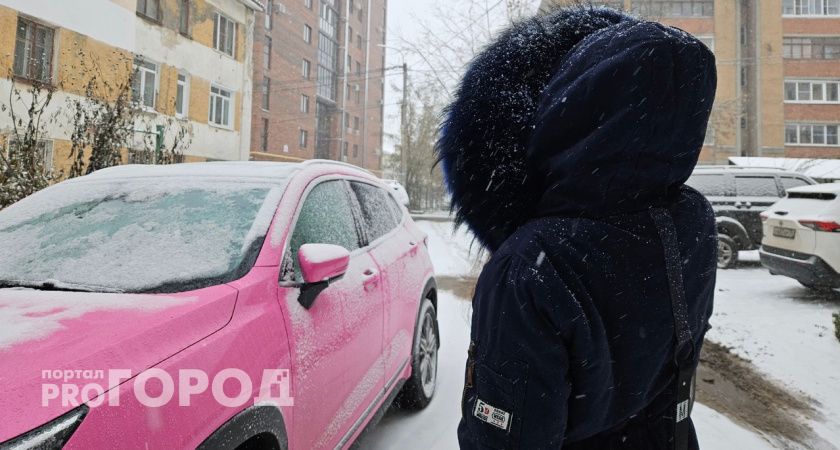 Синоптики назвали дату настоящих снегопадов и прихода зимы в Ярославль