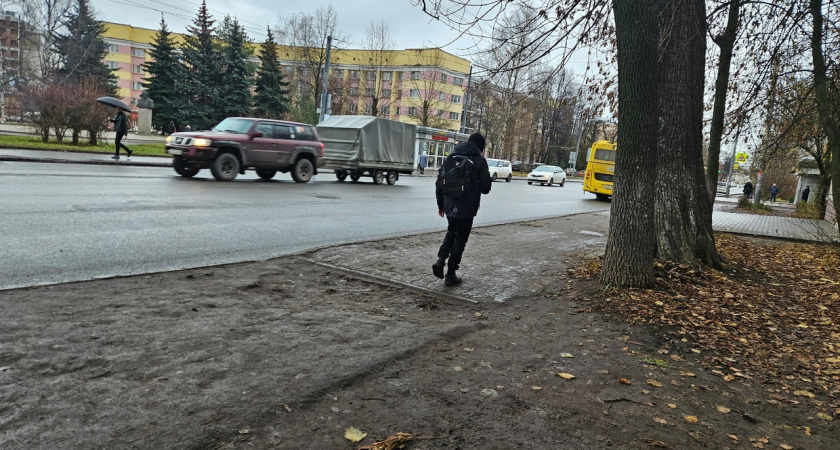 Мороз и солнце: какая погода ждет ярославцев в ближайшие 5 дней 