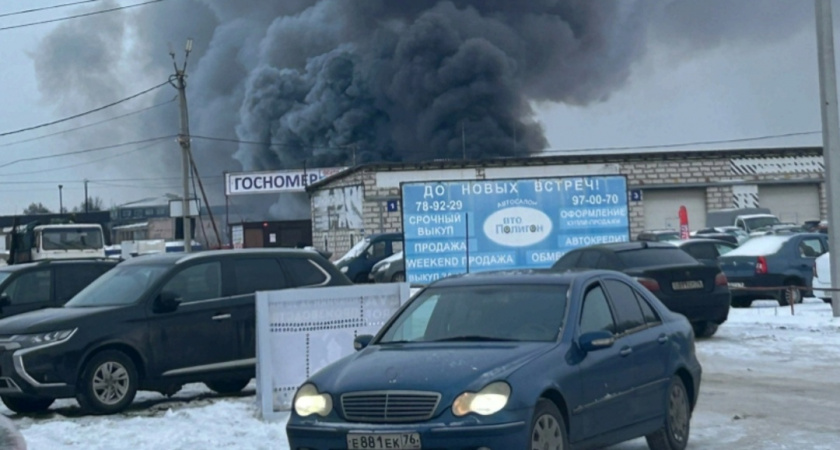 После масштабного пожара в Ярославле проверяют воздух на вредные вещества