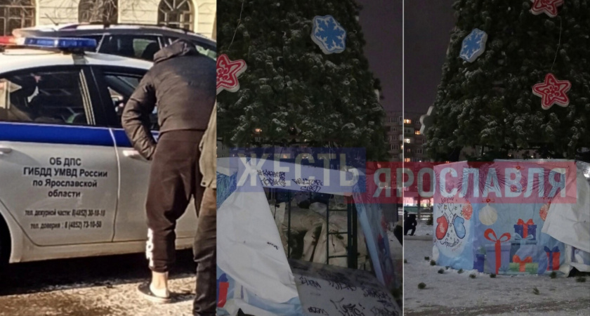  В Ярославле вандалы разрушили недавно установленную городскую елку