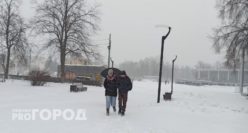  "Довести максимально до всех": в МЧС сообщили мэру Ярославля о рисках массовых ЧС из-за морозов