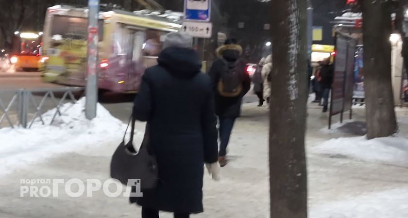 Мороз, сильный снегопад и туман обещают в выходные в Ярославле