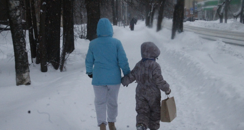 Сойдет с ума: метеорологи рассказали о странностях погоды в начале 2024 года