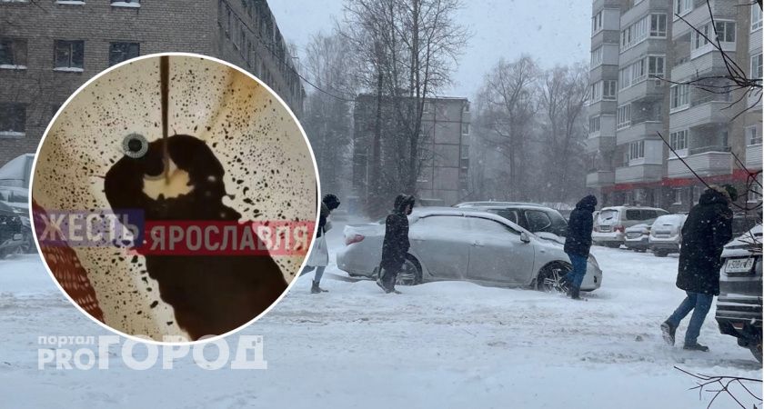 "Счётчик крутится - баблишко мутится": в Ярославле начались проблемы с водой
