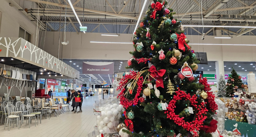 Заряди Дракона: какую игрушку срочно повесить на елку, чтобы в Новый год пришло счастье