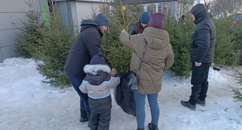 Более 100 миллионов рублей направят на развитие предпринимательства в регионе