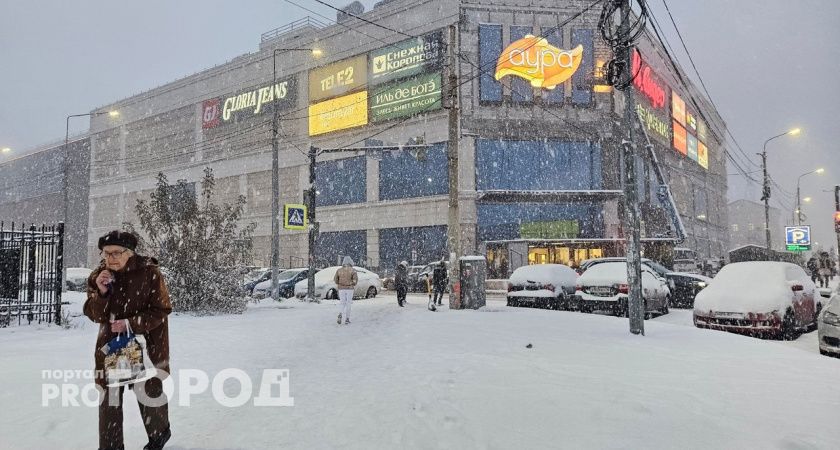 Морозы ниже 35 градусов спрогнозировали 3 и 4 января в Ярославской области