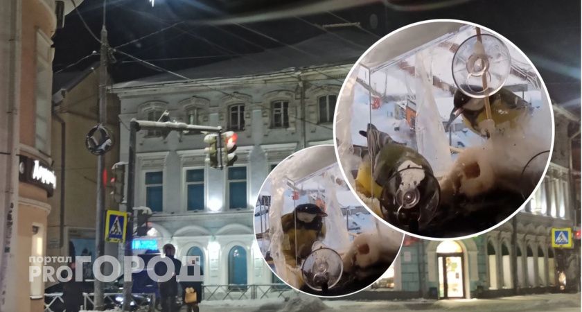  Ярославцы призывают жителей помогать птицам с питанием