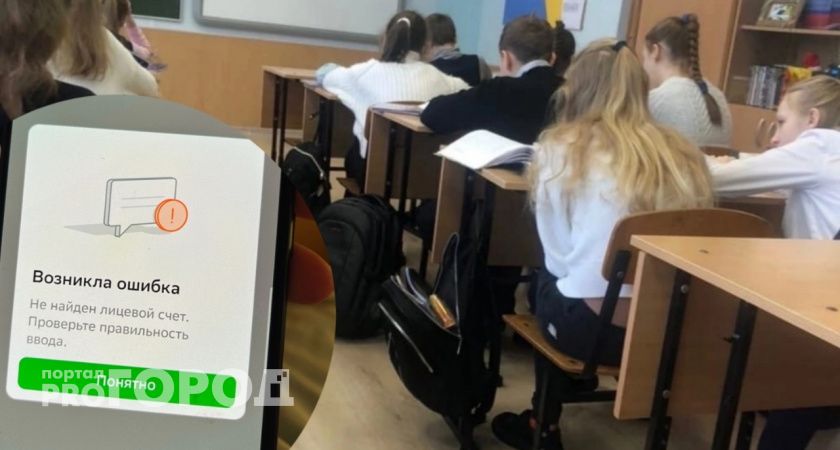 В Ярославле родители сообщают о массовом сбое в системе школьного питания Ладошки