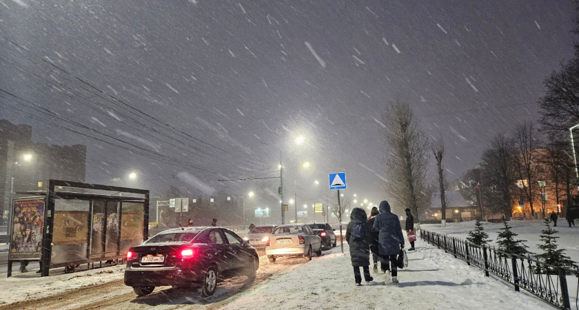 На Ярославль надвигается мощный снегопад