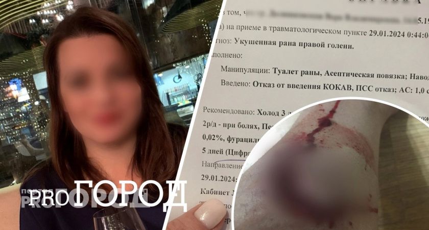 "Было ужасно больно": после нападения соседского стаффа ярославне наложили 3 шва