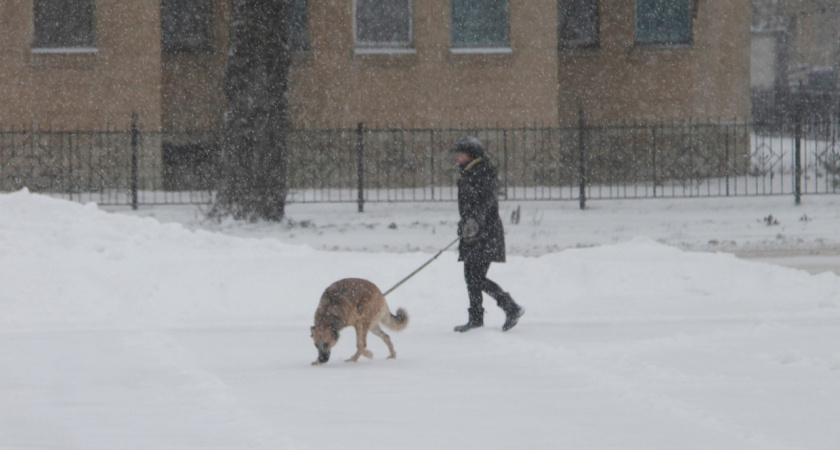 "В марте будет холодно": Вильфанд представил неутешительный прогноз на начало весны