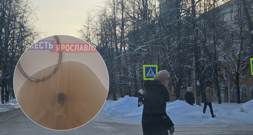 "Даже поросят не помыть": ярославцы недовольны качеством воды в Кировском районе