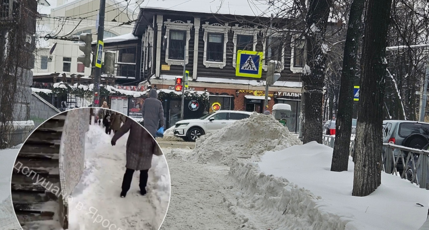 "Берите лопаты!": ярославна предложила мэру и губернатору Ярославля выйти чистить снег в городе