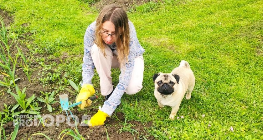 Не смейте выбрасывать: чудо-удобрение вырастит дачникам гигантские овощи