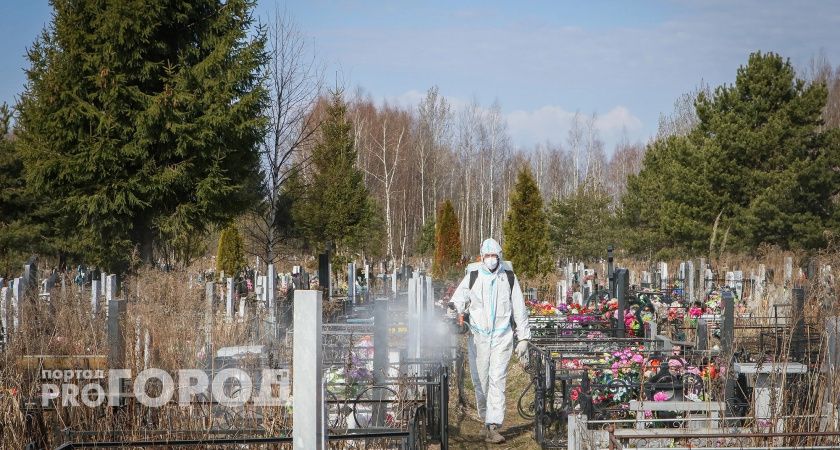 В Ярославле от клещей обработали лишь 5 процентов всей зеленой зоны