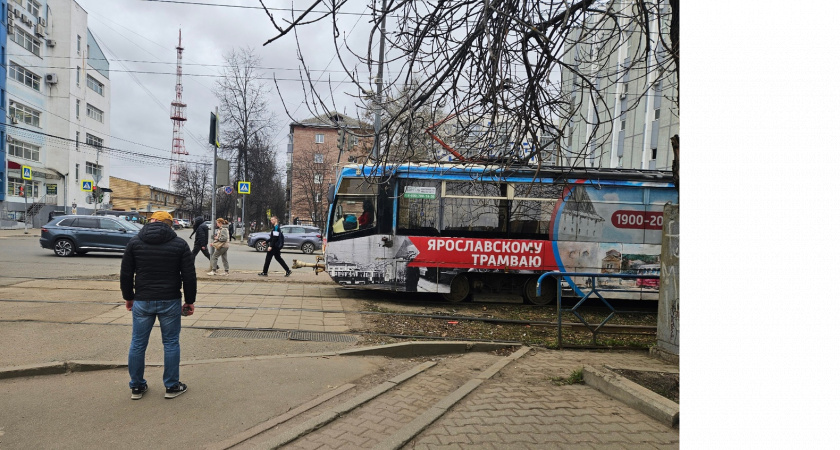 Ярославский депутат недоволен сроками поставки новых трамваев