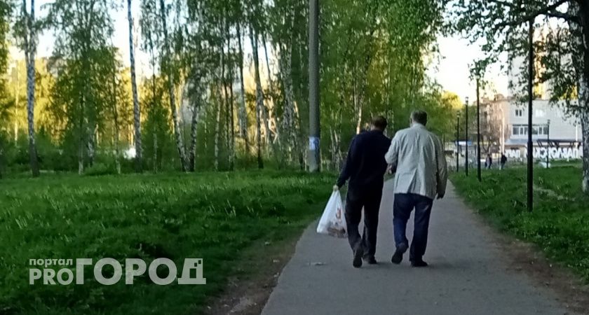 "И взрослые, и дети бегают в кустики": ярославцы потребовали установку туалетов в Павловской роще