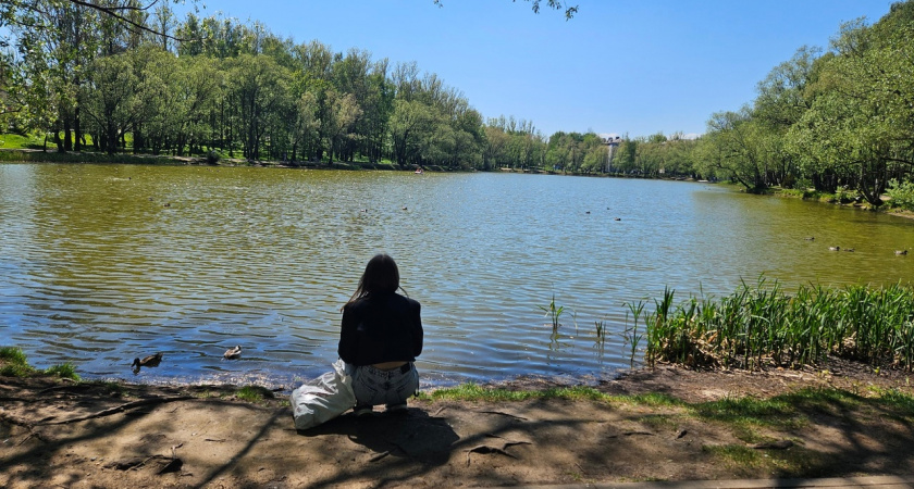 Каким будет июнь в Ярославле, рассказали синоптики