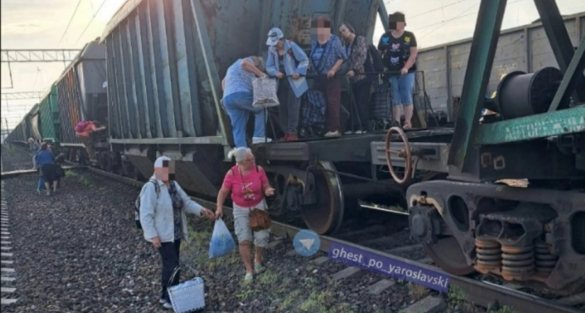 "Пассажиры прыгали и падали": в Ярославле огромный поезд перекрыл людям дорогу
