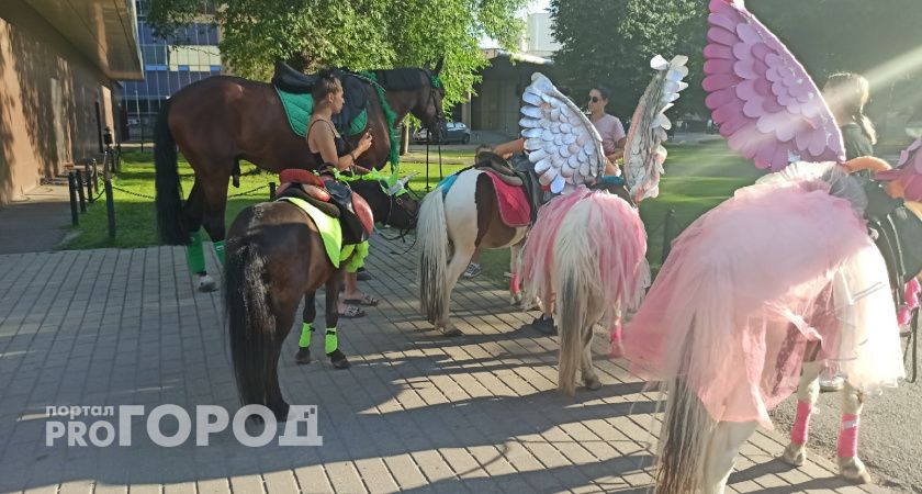"Мучают на жаре": реакция ярославцев на сообщение о падении ребенка с лошади в Даманском парке