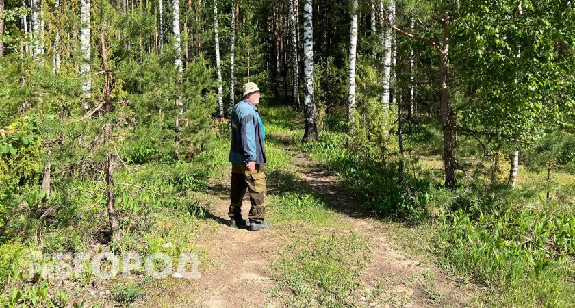 Секретный рецепт от комаров: насекомые бросятся наутек и будут видеть вашу кожу в страшном сне