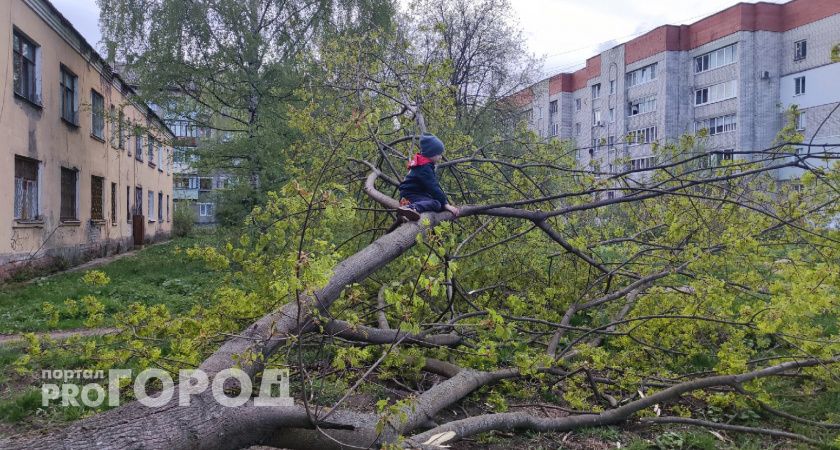 Жители Ярославской области сидят без света вторые сутки