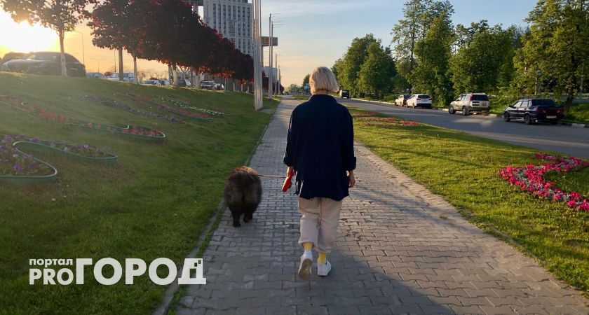 Пять суеверий на 8 июля, которые принесут неудачу при их игнорировании