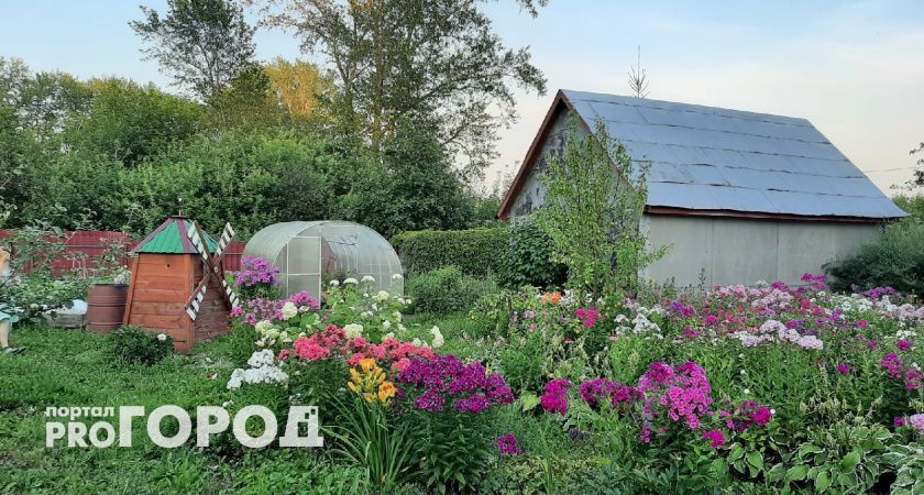 Не стыдно перед гостями: это устранит запах в дачном туалете без траты на химию