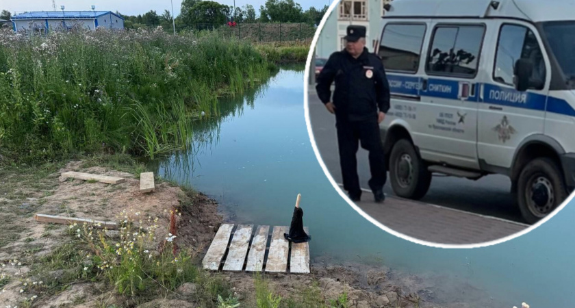 В Ярославской области в пруду утонул 8-летний ребёнок