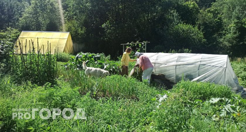 Ваш участок заберут навсегда: узнайте новые требования для всех владельцев, чтобы избежать беды