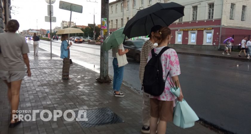 За два дня в Ярославле прольется треть месячной нормы дождей