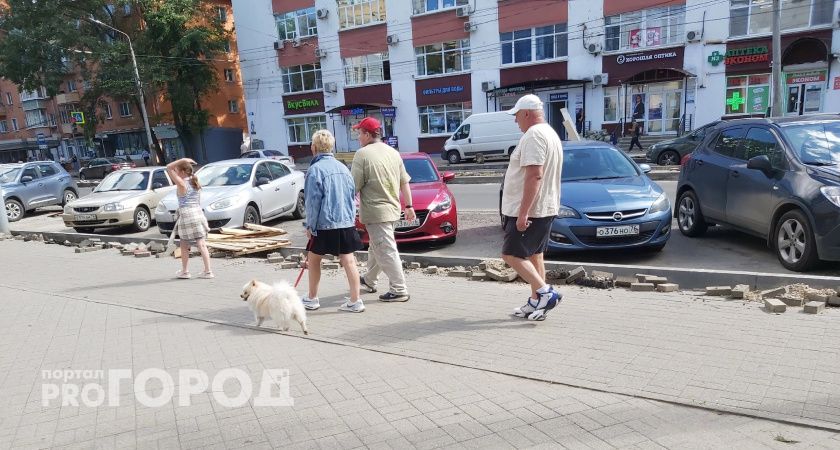 В Ярославле женщина выбросила шпица из машины на глазах у сына