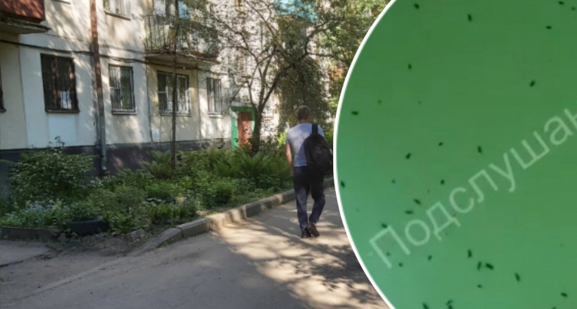 Жители Заволжского района сообщают о нашествии тараканов