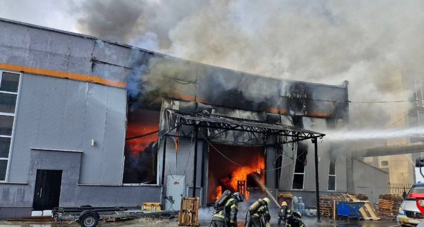 Выбило окна: в пожаре на Полушкиной роще спасли хамелеона-гиганта