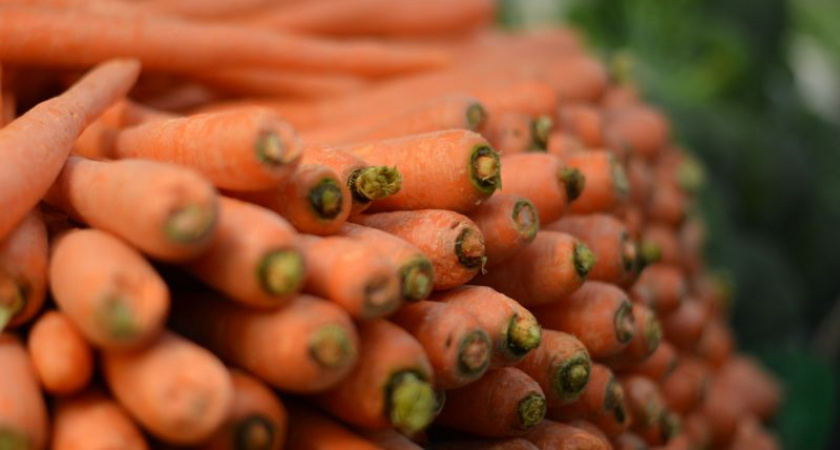 Морковь вырастет сочная и крупная: просто полейте грядку этим элементарным раствором