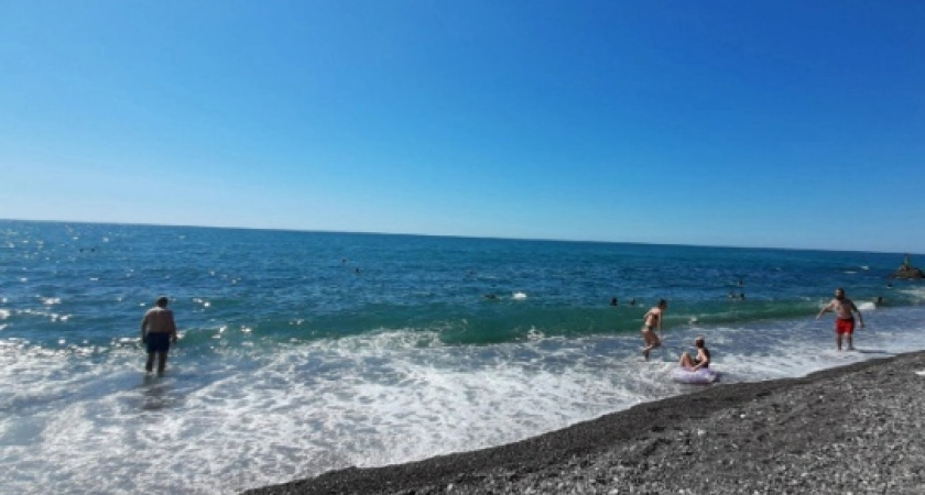 Россияне покидают курорты юга: нечистоты и тысячи медуз захватили морское побережье