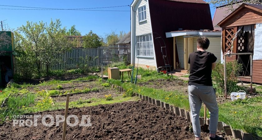 Копать грядки осенью или оставить до весны: опытные дачники дали дельный совет