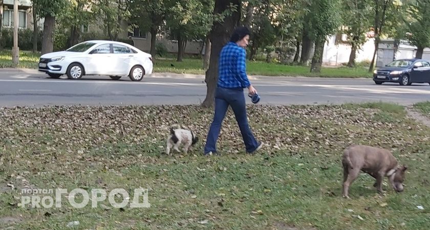 Ярославль предлагают переименовать в Штрафославль