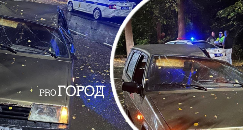 В Ярославле двое подростков 17 лет пострадали в машине от рухнувшего дерева 