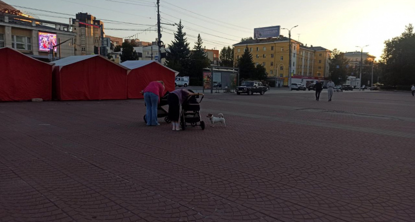 В Ярославле родилось рекордное число двойняшек