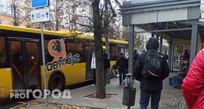 Ярославцы советуют, как правильно ездить в желтых автобусах