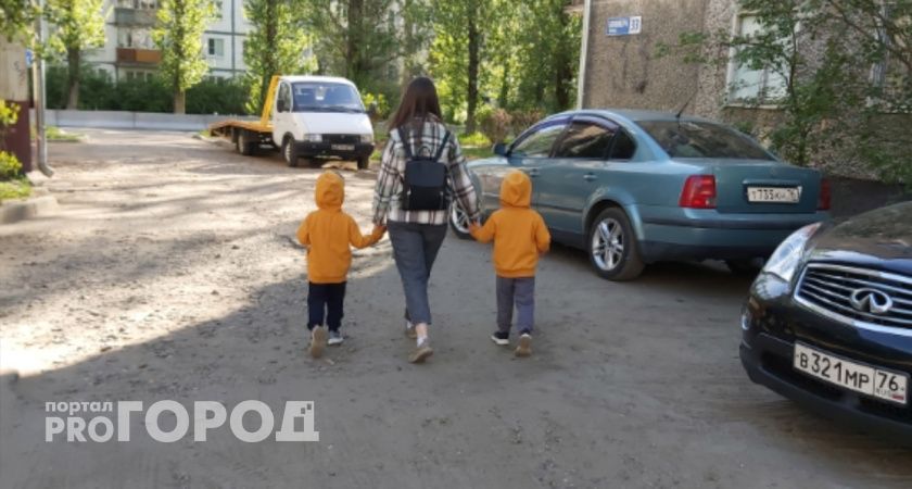 Ярославцы высказались против налога на бездетность