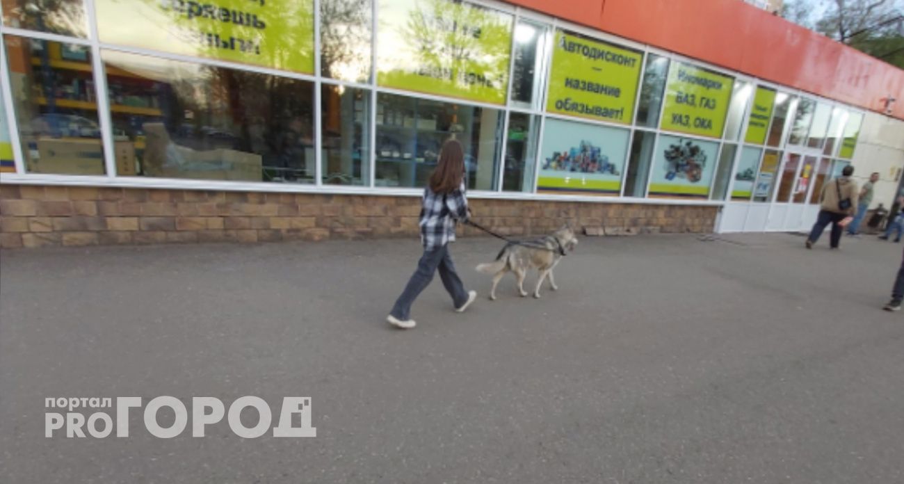 Перед покупкой собак ярославцам предложили сдавать тест в наркологичке