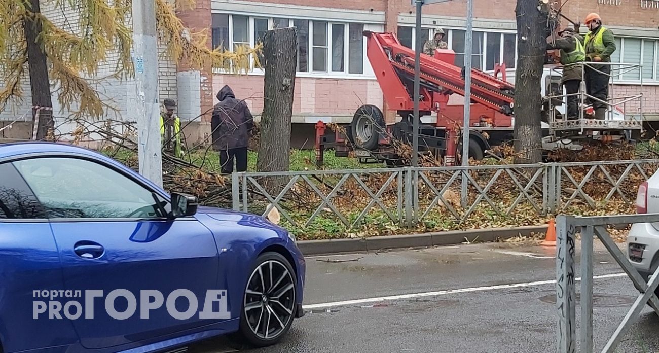 Ярославцев разгневал спил деревьев в центре города: "Срубили живые деревья, а аварийные так и стоят"